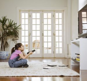 4 Key Points About Mold in Your Home   
