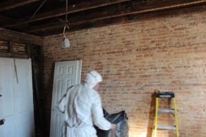 mold remediation