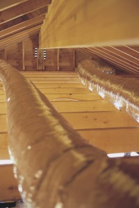 4 Easy Ways to Prevent Mold Growth in Your Attic 