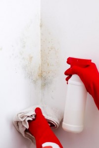 Mold mistakes and cleaning