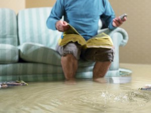 mold remediation and flood