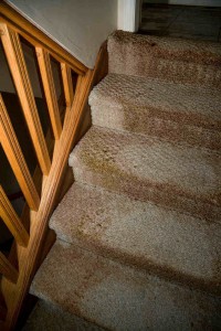 Wet basement waterproofing