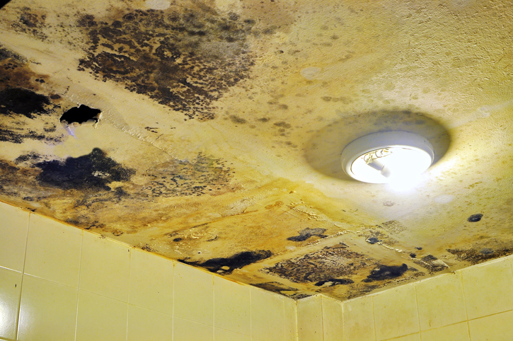 Water Damaged Ceiling And Fungus In Bathroom Environmental