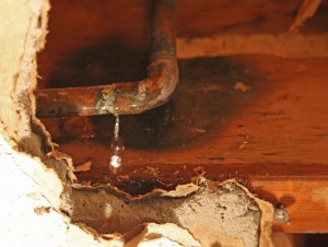 water damage can cause mold